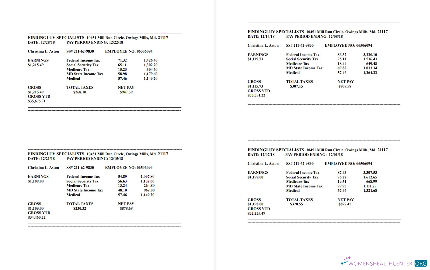 Download Findingluv specialits company pay stub in PDF and Word format Photoshop template